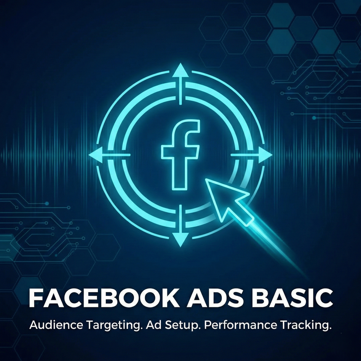 Facebook Ads ( Basic)